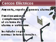 cerca electrica